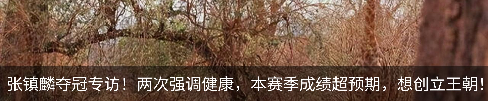 行业资讯